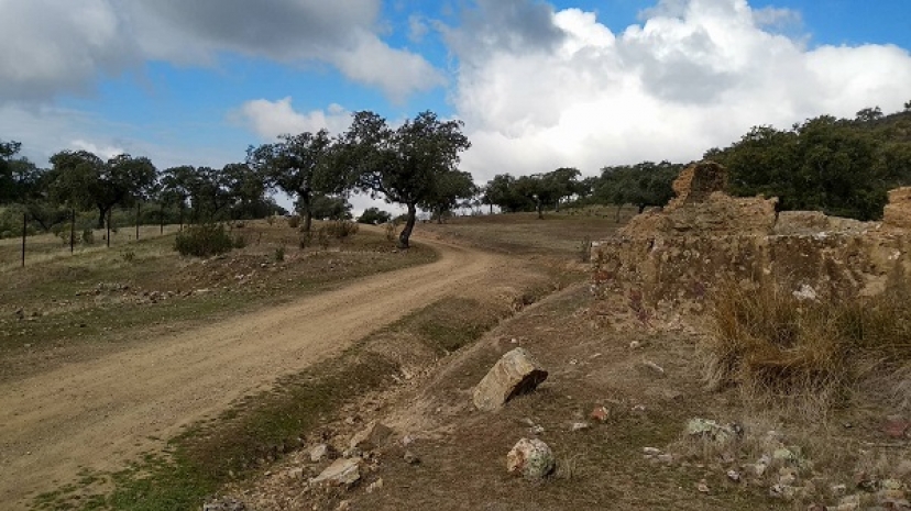 NIVA-IU apoya la marcha para recuperar la vereda del Salto de la Trocha en la Sierra Morena de Sevilla