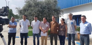 IU reclama a la UE la defensa del sector de la aceituna de mesa tras los aranceles impuestos por EEUU