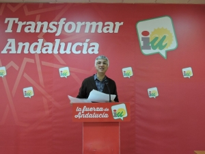 Presentamos nuestras propuestas a los Presupuestos de la Junta 2017