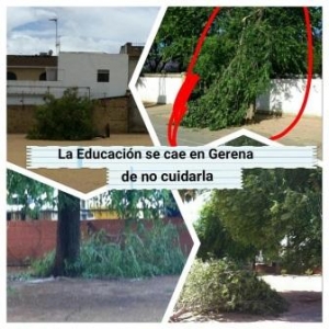 La Educación se cae en Gerena