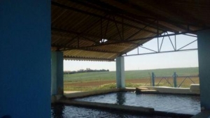 Guillena: IU exige la retirada de la cubierta de amianto que cubre la planta potabilizadora de aguas del municipio