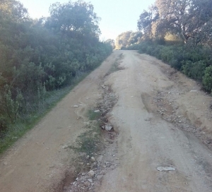 Gerena: Denunciamos el abandono y la falta de inversiones en los caminos rurales