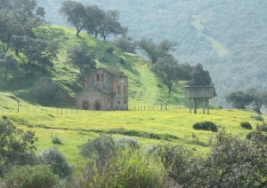 Trasladamos a Diputación y al Parlamento el derribo de la antigua estación de la Rigüela 