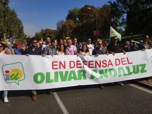 En Defensa del Olivar