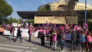 Apoyamos la huelga del personal técnico de integración social + intérpretes de lengua de signos, convocada por CC.OO. Enseñanza