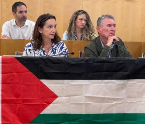 Con Andalucía exige en la Diputación de Sevilla que “no mire hacia otro lado ante el genocidio en Palestina”