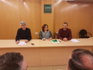 Presentada Proposición No de Ley en defensa de la Aceituna de Mesa