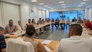 IU Sevilla y sus alcaldías exigen a la Junta el pago inmediato y una financiación justa del Servicio de Ayuda a Domicilio