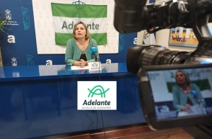 Alcalá de Guadaíra: Adelante pide en el pleno &quot;unidad, trabajo y lealtad para combatir la crisis sanitaria y económica&quot;