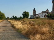 IU Santiponce denuncia el abandono del corredor verde metropolitano Santiponce-Gambogaz